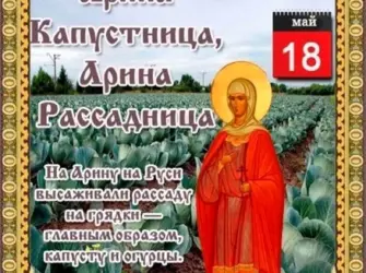 18 Мая Арина капустница Арина Рассадница. Открытка, картинка с поздравлением, с праздником