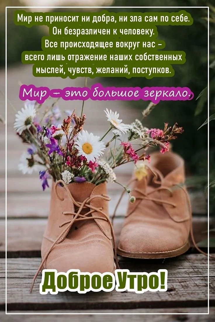 Открытки с Цитатами