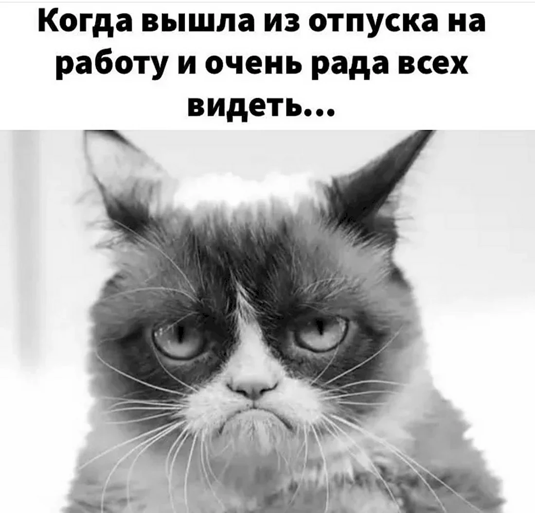 Открытка с выходом на работу после отпуска (50 шт)