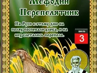 Мефодий перепелятник 3 июля народный календарь. Открытка, картинка с поздравлением, с праздником