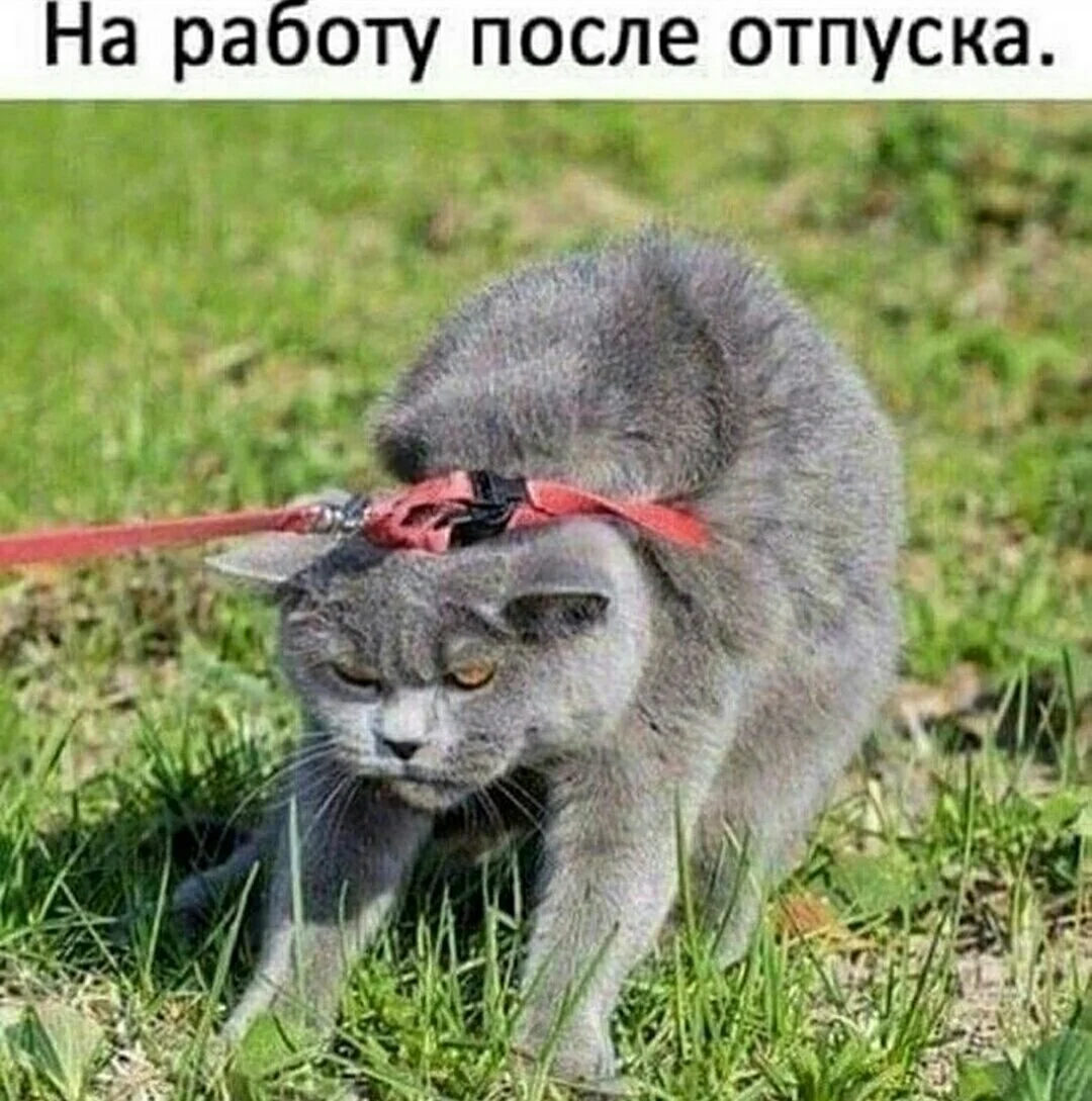 Открытки, сделанные с душой