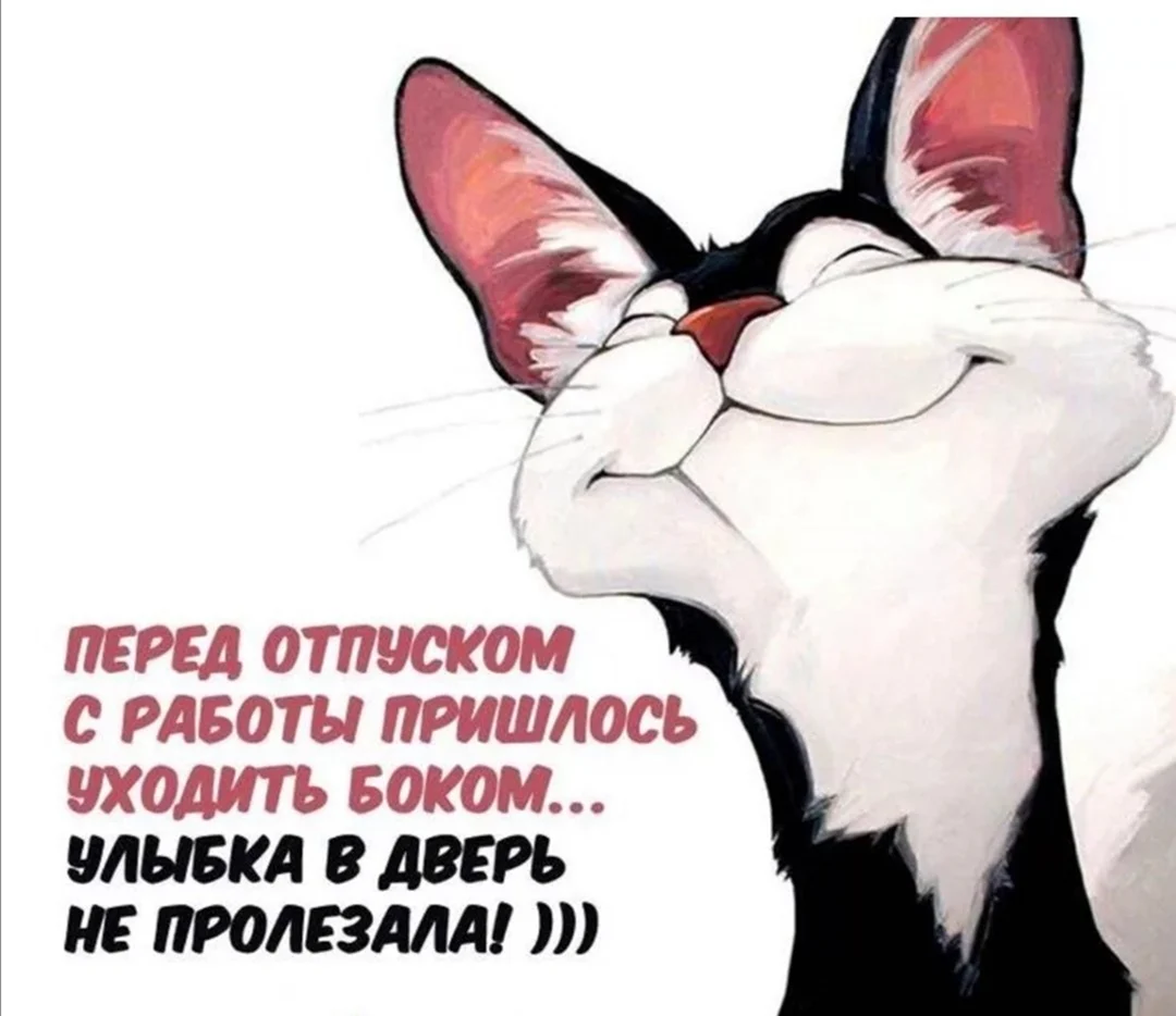 «За 10 лет не отдыхал ни разу». Люди годами не ходят в отпуск — и довольны