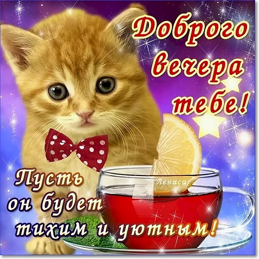 Хорошего дня, вечера