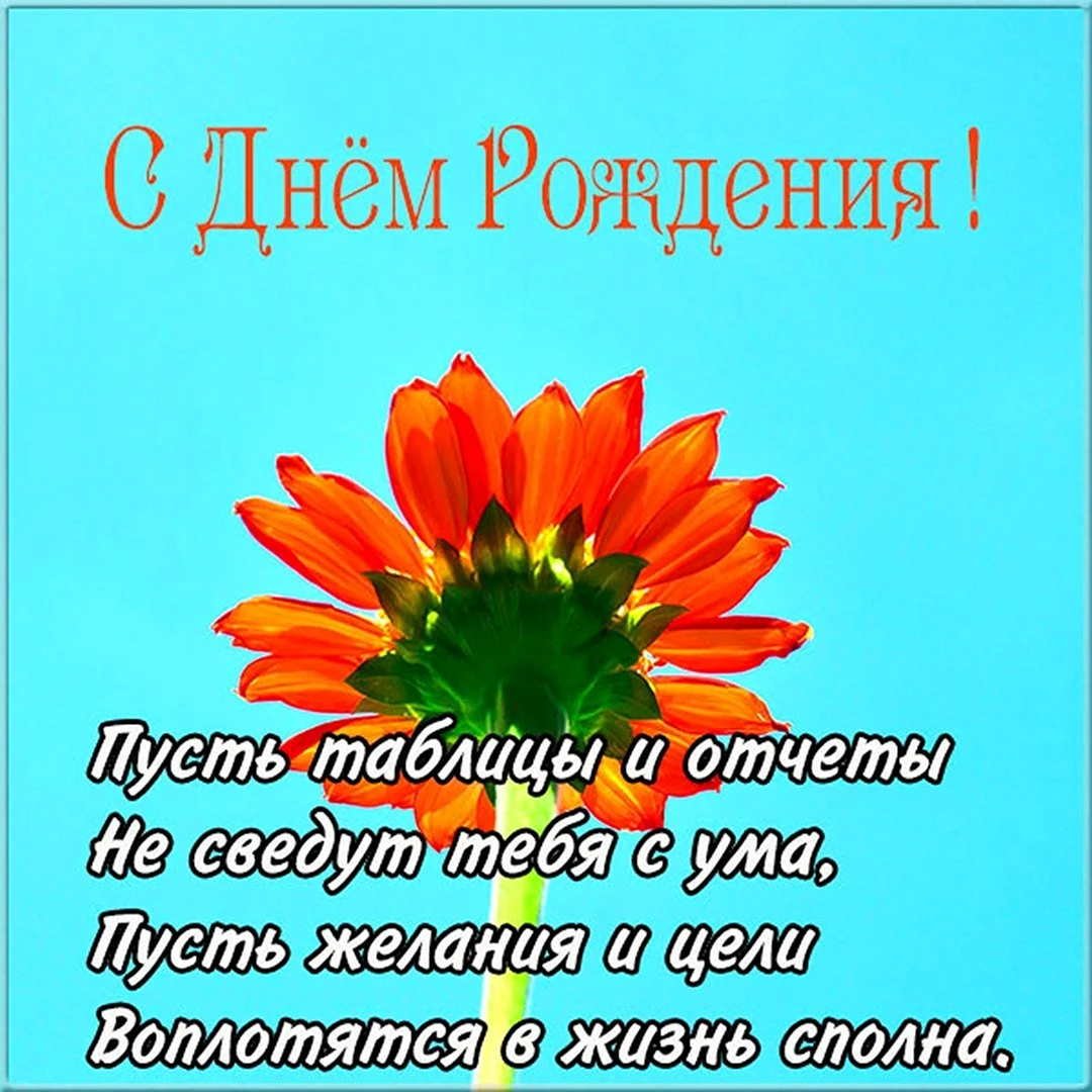 Как поздравить с днем рождения бухгалтера: идеи праздника