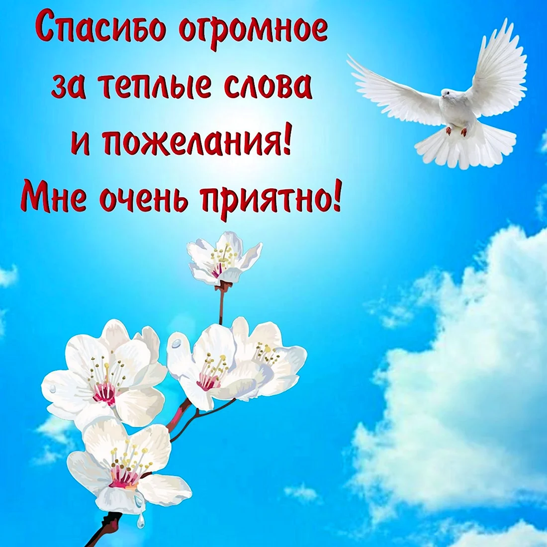 «Спасибо» и другие слова благодарности на английском