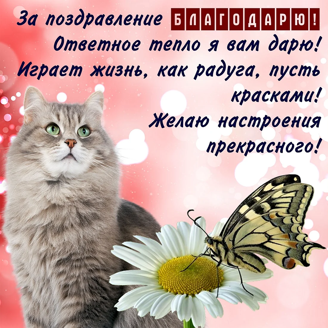 Английские выражения, которые заменят обычное thank you