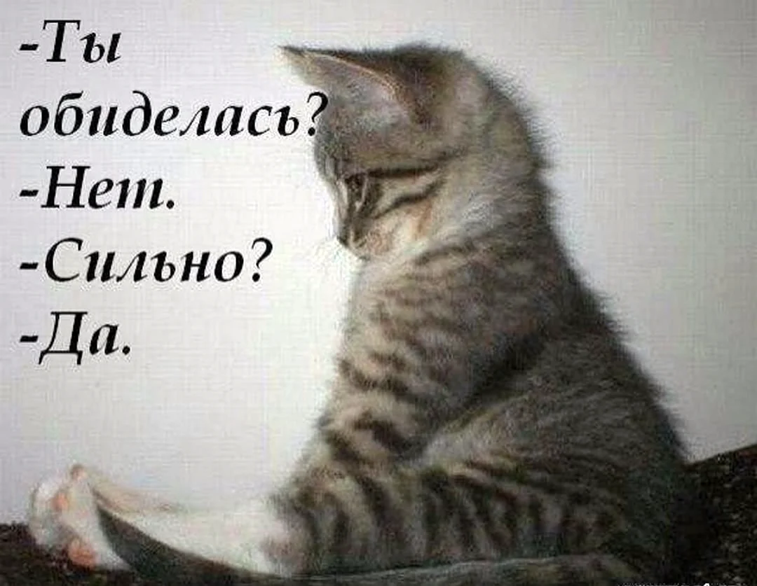 Открытка «Брат. Город-злая сила» – купить за руб | Чук и Гик. Магазин комиксов