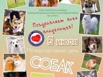 Всемирный день собак открытка