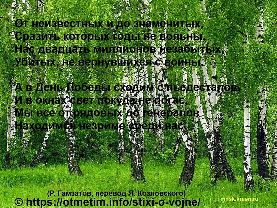 ПЕЙЗАЖИ С БЕРЕЗАМИ: ВЯЗАНИЕ СПИЦАМИ И КРЮЧКОМ | ВЫШИВКА - схемы | Постила