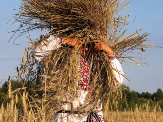 Зажинки и Дожинки. Открытка, картинка с поздравлением, с праздником