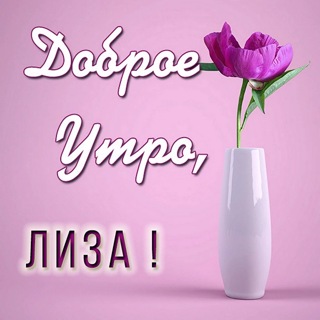 Доброе лисье утро) | Пикабу