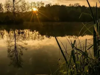 Доброе утро рыбаки. Открытка с поздравлением