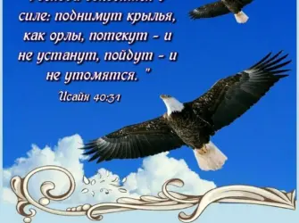 Христианские картинки с днем рождения. Открытка с Днем рождения. Поздравление с Днем рождения