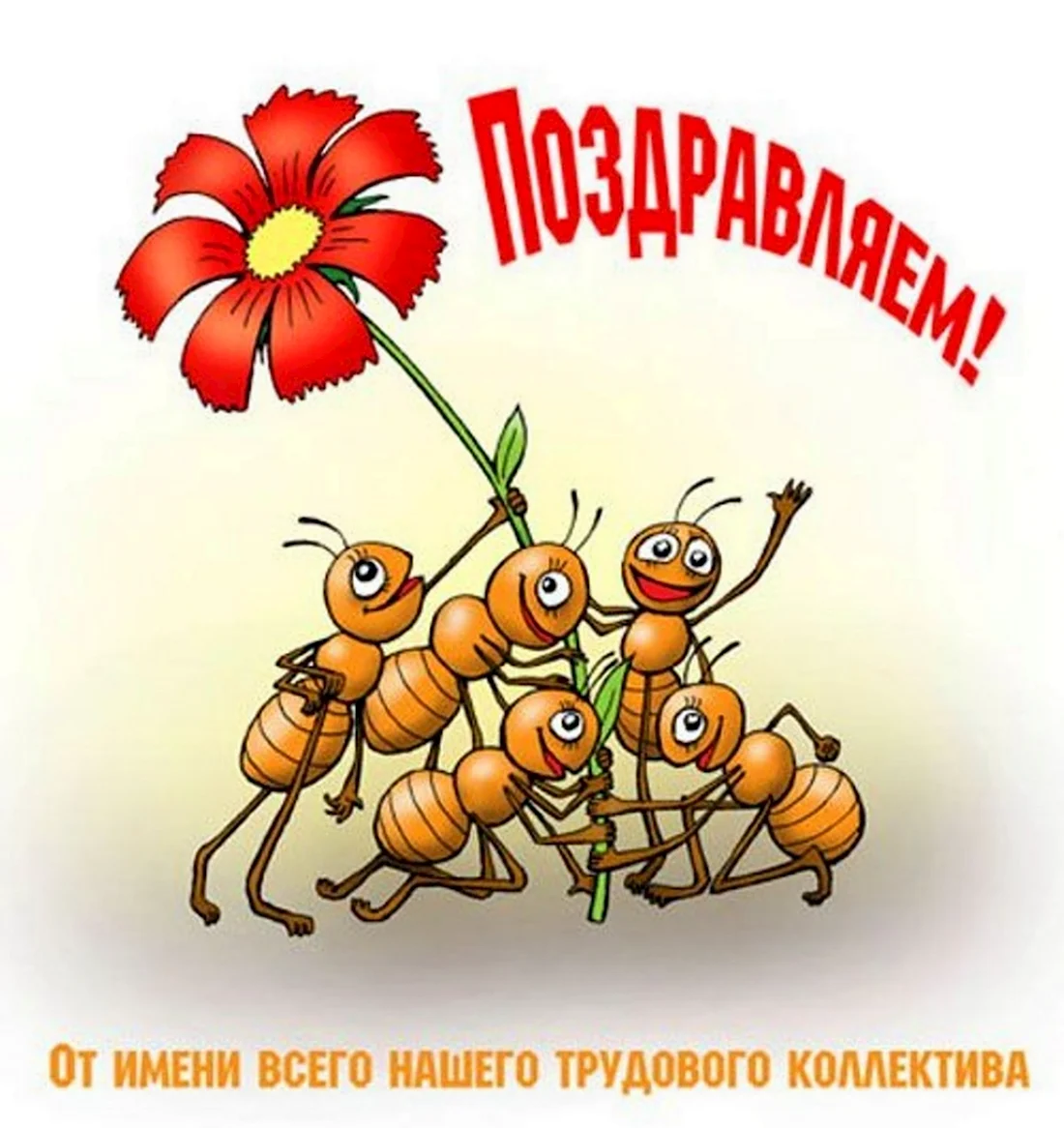 24 поздравления с днем рождения, за которые очень хочется отомстить