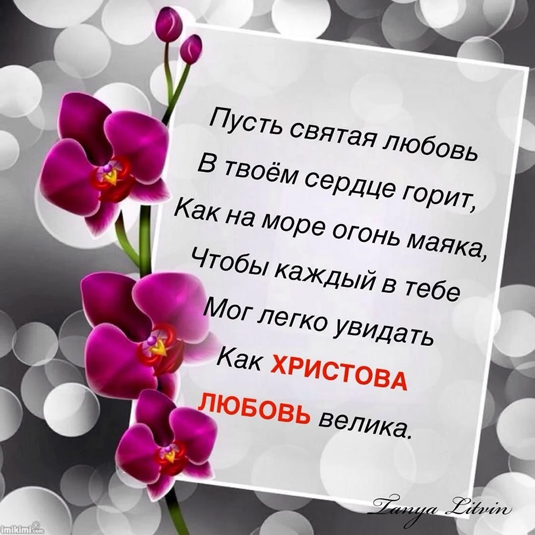 Поздравления с днем рождения сестре: красивые стихи и проза своими словами