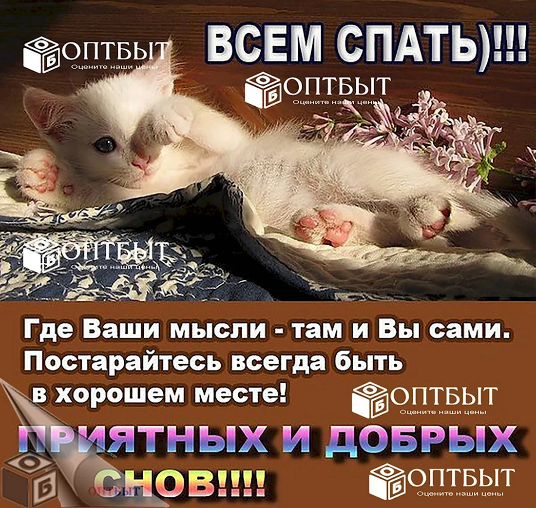 Открытки спокойной ночи