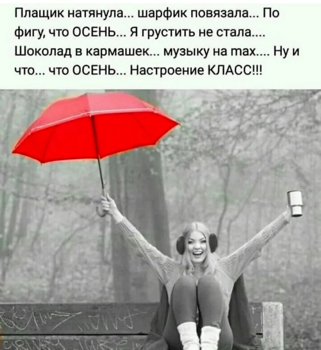 Слова к началу сбора подарков на свадьбе — «Волшебный зонтик»